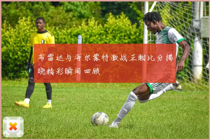 布雷达与海尔蒙特激战正酣比分揭晓精彩瞬间回顾