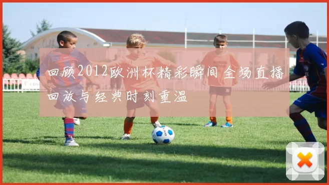 回顾2012欧洲杯精彩瞬间全场直播回放与经典时刻重温