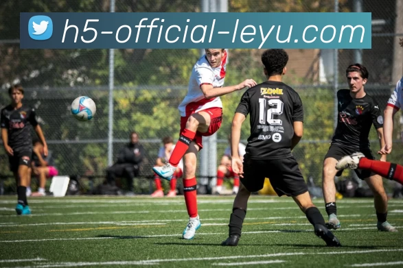 墨尔本城与悉尼FC精彩对决直播全程回顾与分析